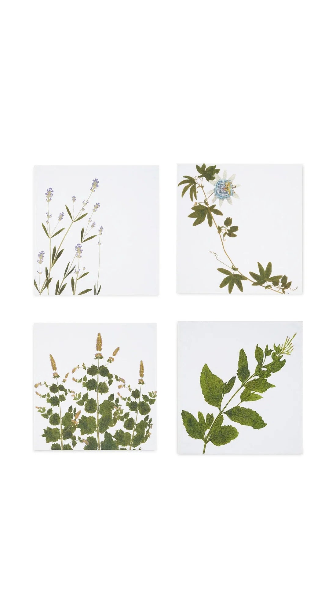 Summerill and Bishop Tisane Herb Napkins set of 4