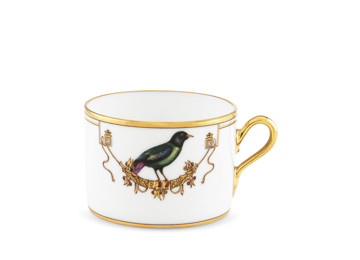 Volière La Breve Teacup + Saucer by Ginori 1735