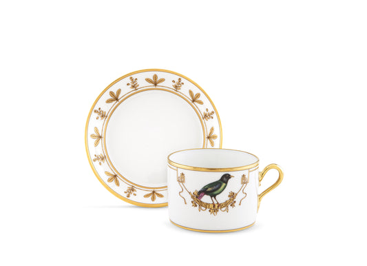 Volière La Breve Teacup + Saucer by Ginori 1735