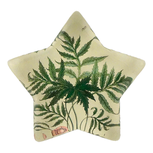 Leaf - Polypodium Sensibile Star Charm