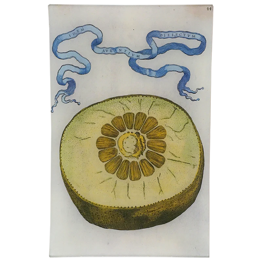 Limon 441 Wall Tray