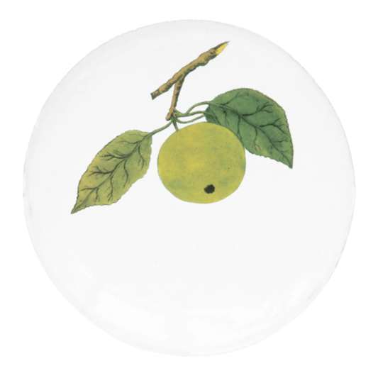 Medium Apple Plate
