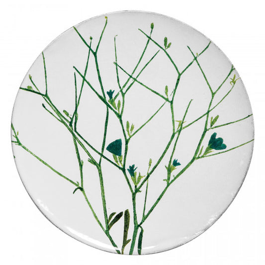 Medium Cichorium Plate