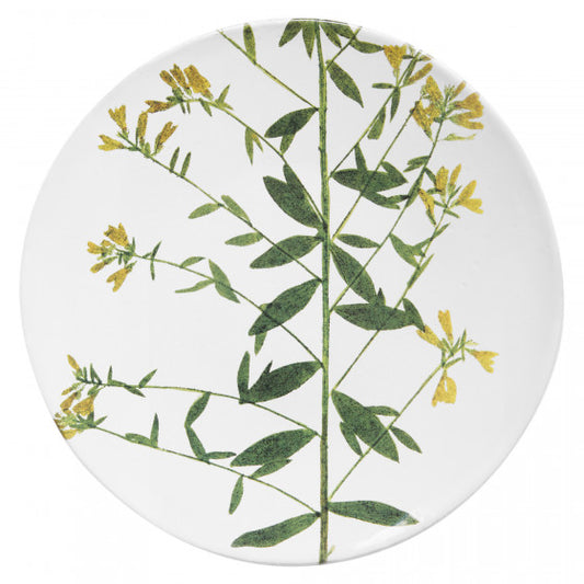 Medium Genista Plate