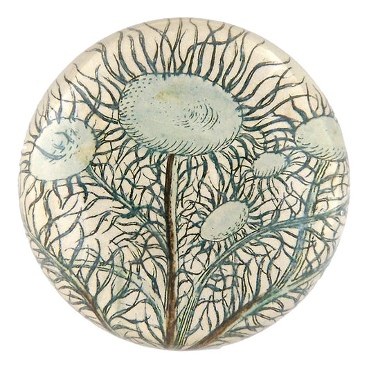 Moss Tree Dome Paperweight