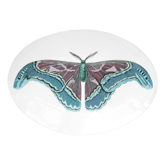 Oval Blue Butterfly Platter