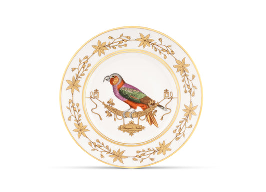 Volière Perroquet Nestor Flat Plate by Ginori 1735