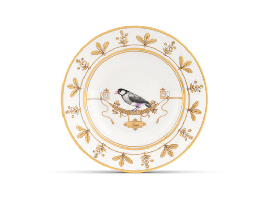 Volière Padda Soup Plate by Ginori 1735