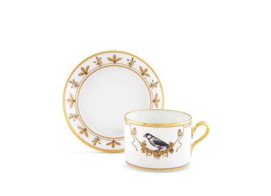 Volière Padda Teacup + Saucer by Ginori 1735