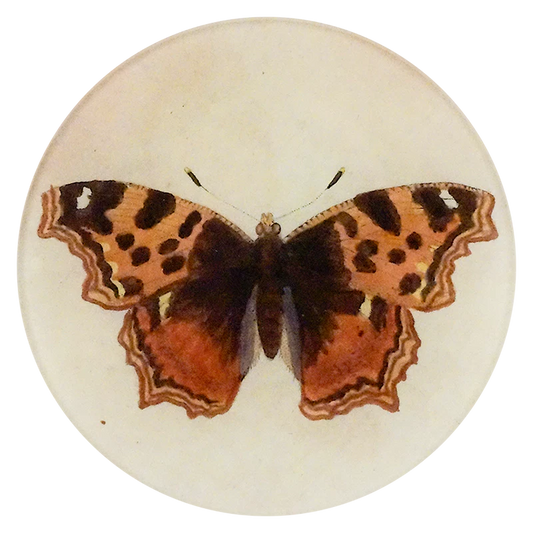 Papilio Round Plate
