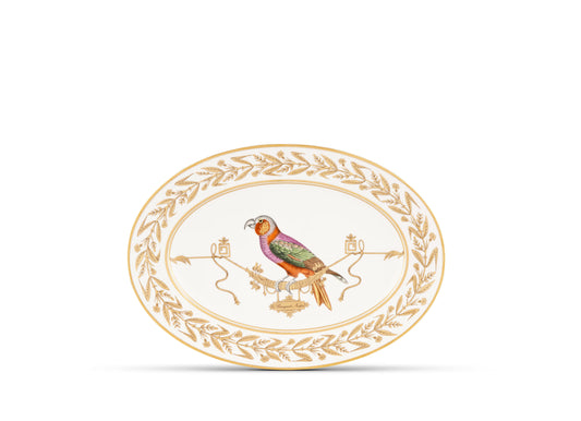 Volière Perroquet Nestor Large Oval Platter by Ginori 1735