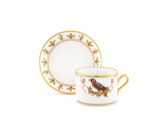 Volière Perroquet Nestor Teacup + Saucer by Ginori 1735
