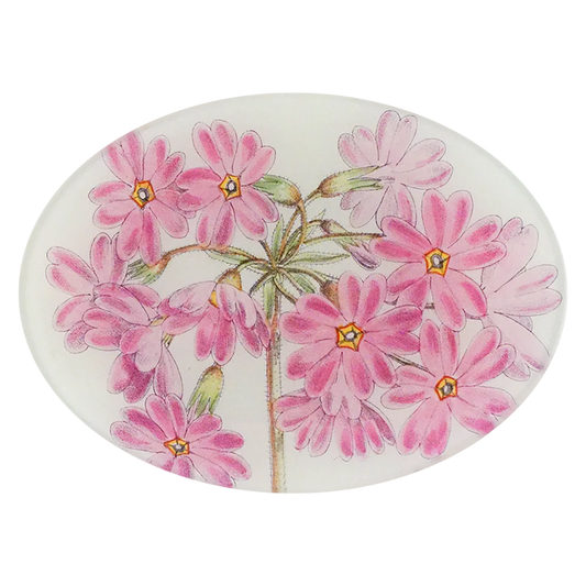 Primula Veitchii Oval Plate