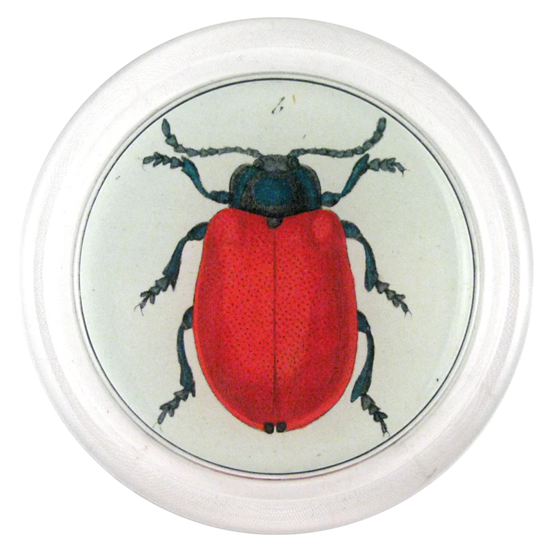 Red Beetle 6" Coaster