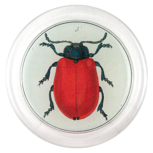 Red Beetle 6" Coaster