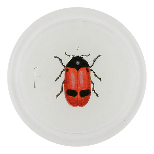 Red Ant Bag Beetle 4" Coaster