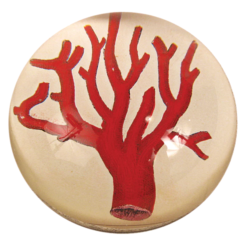 Red Coral Dome Paperweight