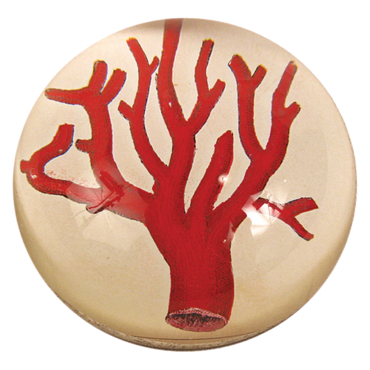 Red Coral Dome Paperweight
