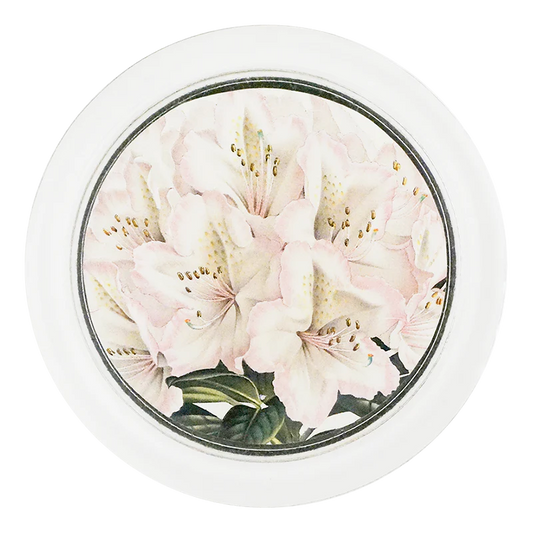 Rhododendron Madame Louis 4" Coaster