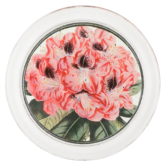 Rhododendron Stamfordianum 4" Coaster