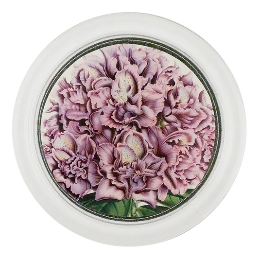 Rhododendron Fastuosum 4" Coaster