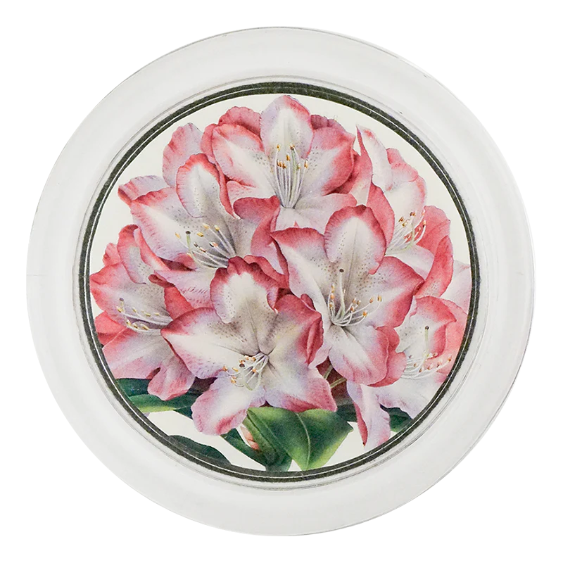 Rhododendron Princess of Wales 4" Coaster