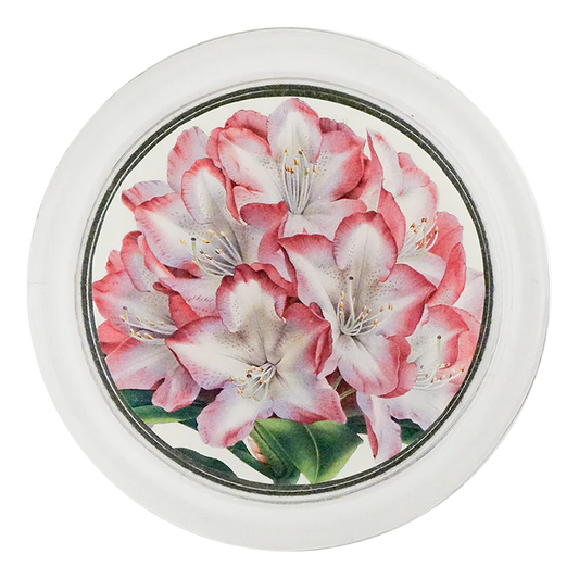 Rhododendron Princess of Wales 4" Coaster