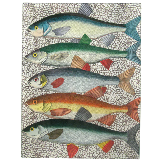 Some Fish Tray