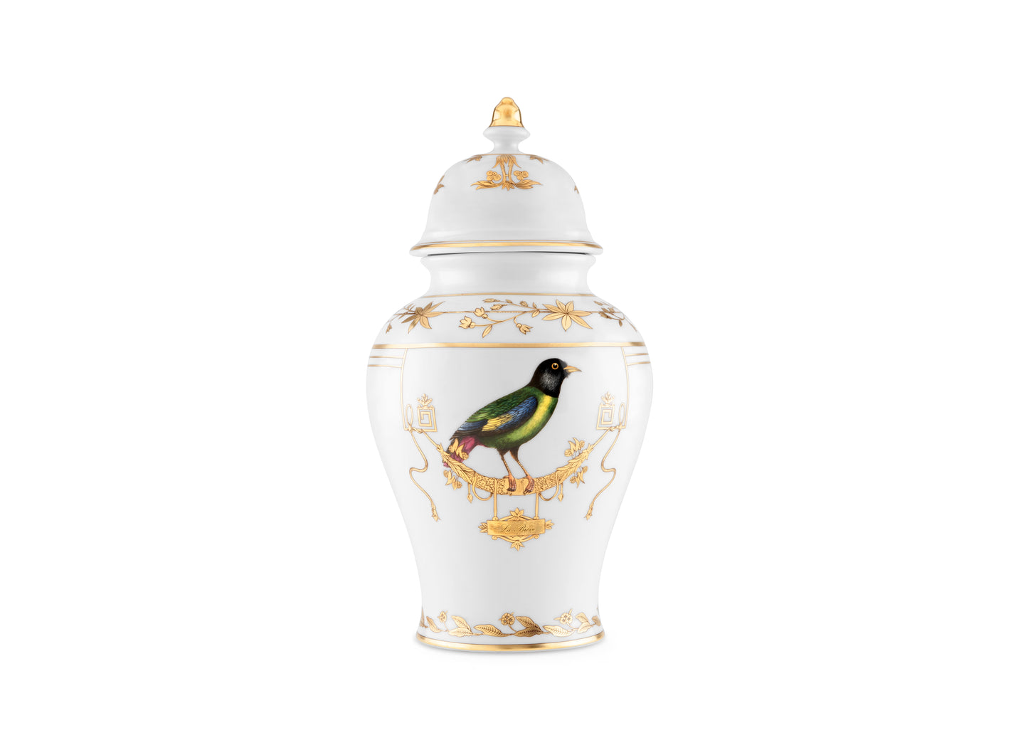 Volière Potiche Vase by Ginori 1735