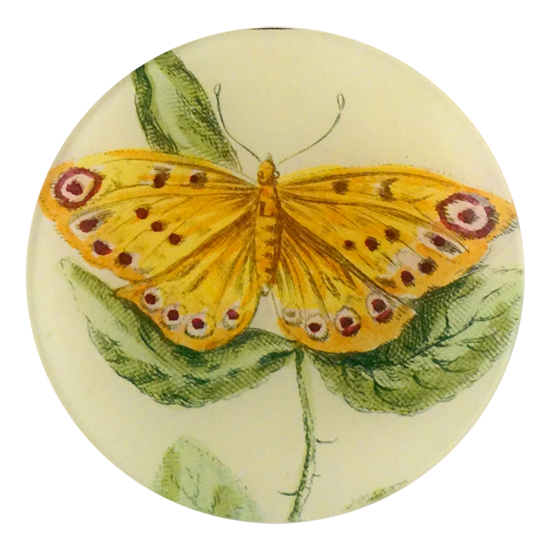 Yellow Butterfly Round Plate