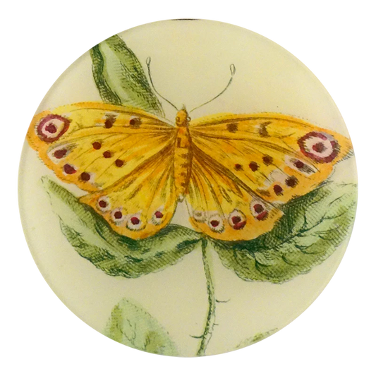Yellow Butterfly Round Plate