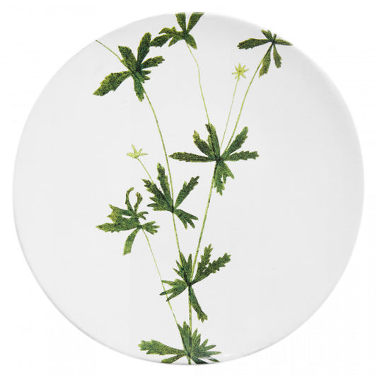 Medium Tormentilla Plate