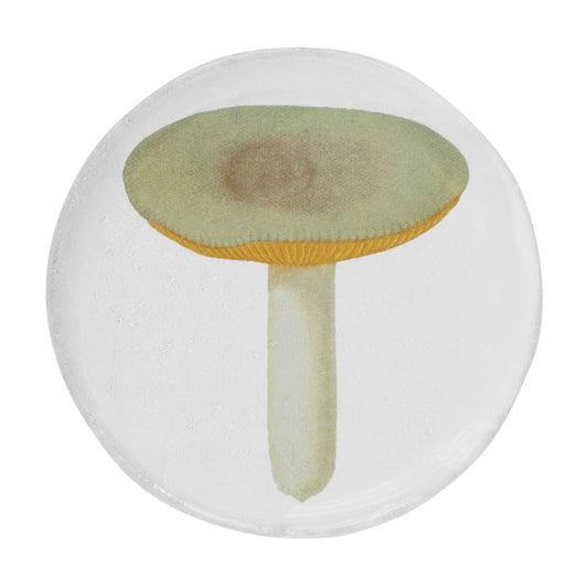 Small Agaric Meurtrier Plate